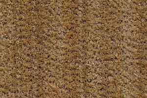 Грязезащитные покрытия Forbo Coral Brush 5754 straw brown фото  | FLOORDEALER